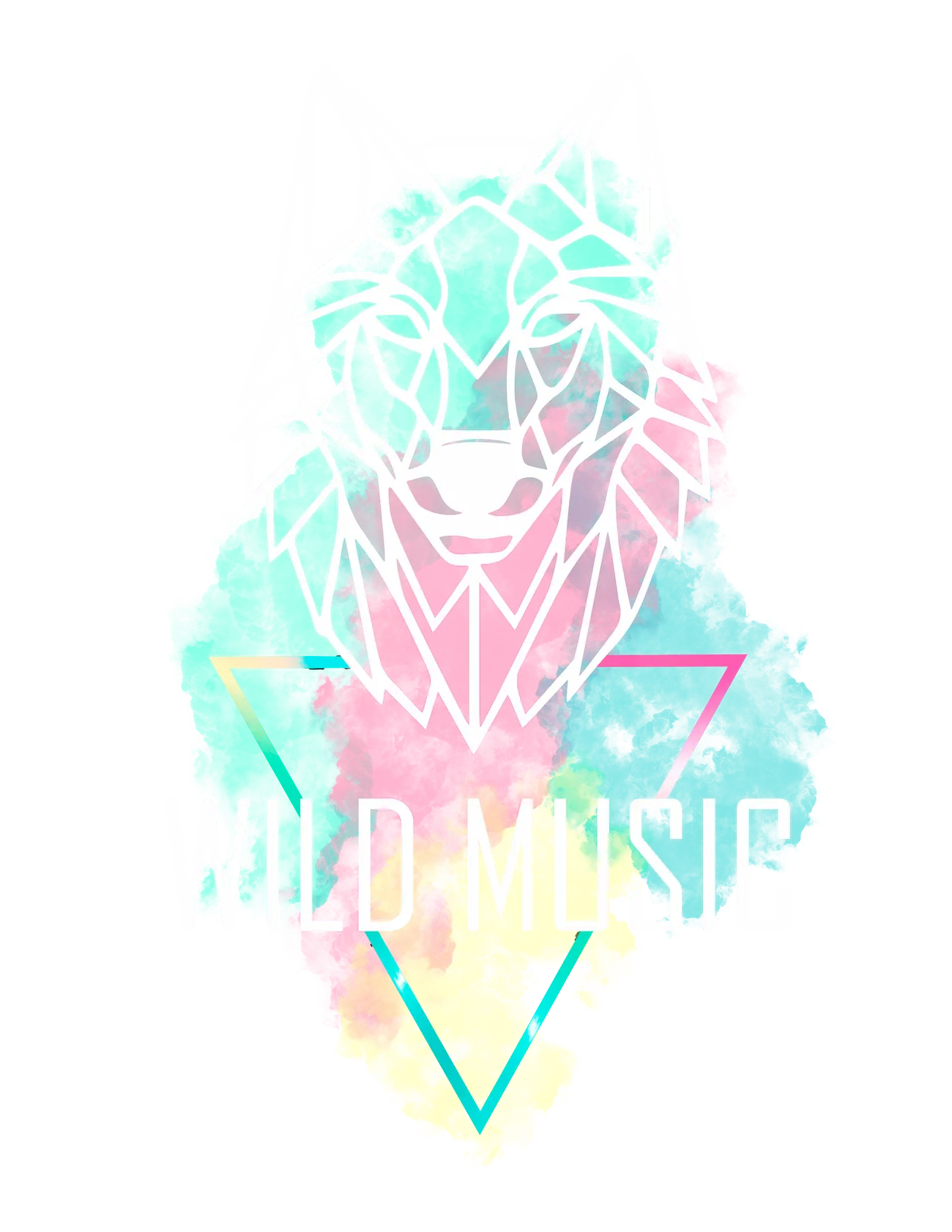 Wild music sevilla